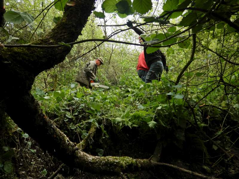 La rivi�re est par l�, le tout c'est de la trouver!