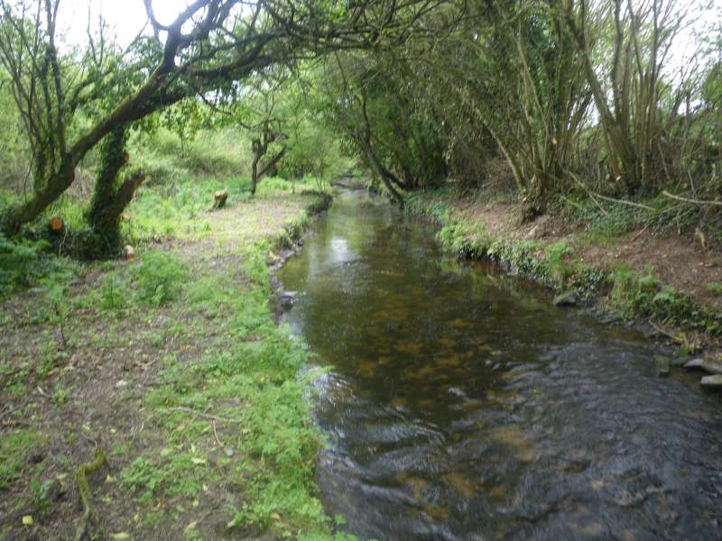 Elle n'est pas belle, notre rivi�re?