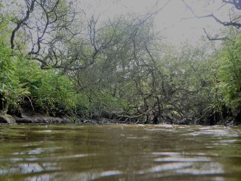 Eh bien il n'y a plus qu'� se jeter � l'eau!