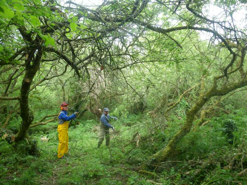 Thierry et Michel � l'�lagueuse