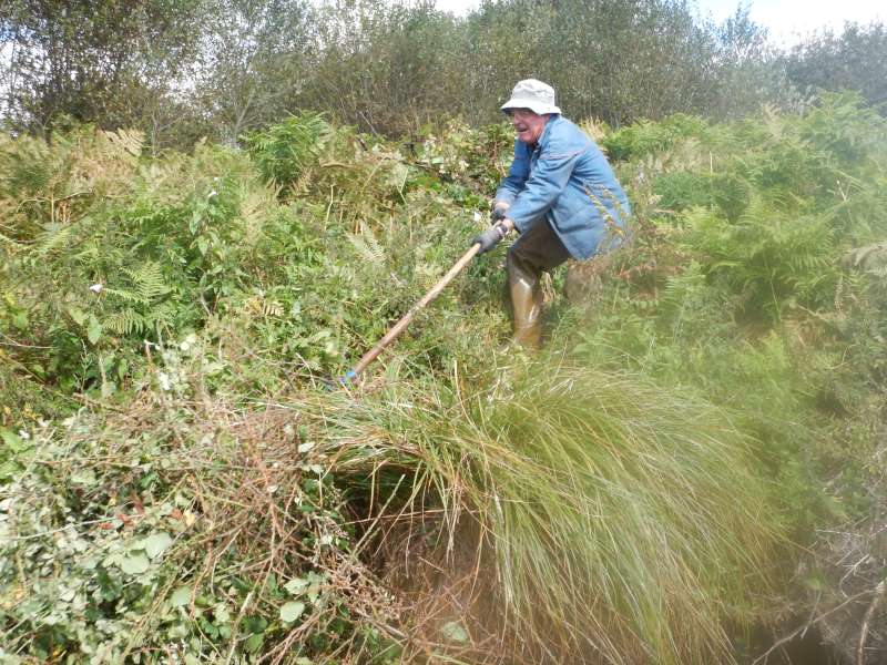 Guy hisse un gros tas de ronces