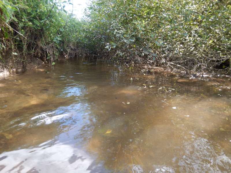 On ne baisse pas les bras, mais il faut rentrer. A mardi prochain!