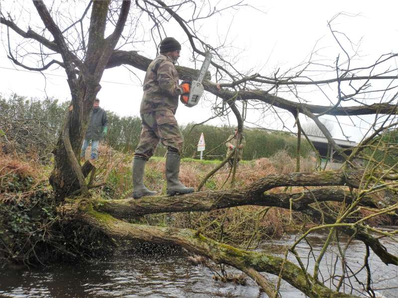 Serge l'acrobate du jour