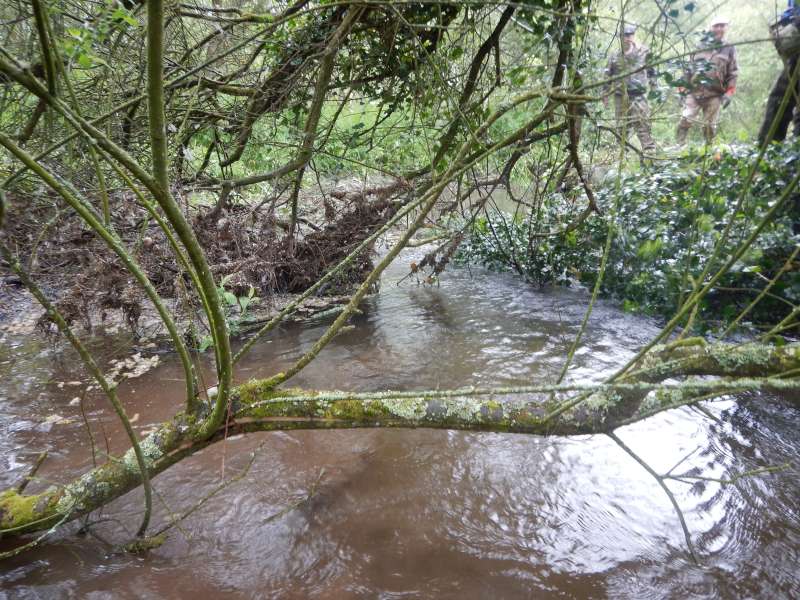 Retour aux festivit�s