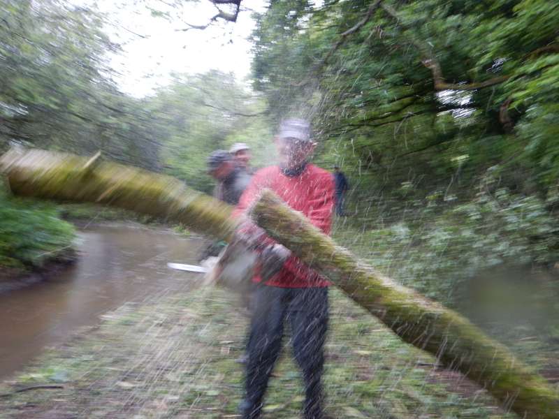 sy� bwa (r�serv� aus initi�s)