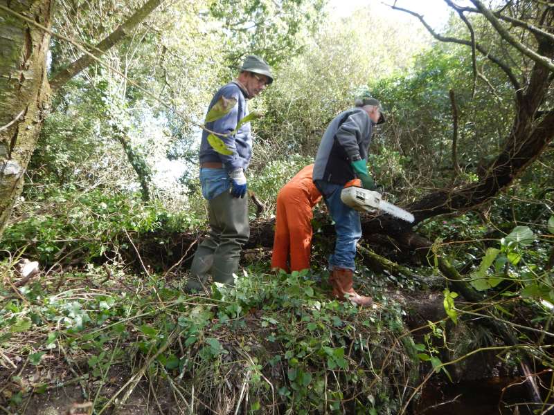 Un prisonnier am�ricain et ses deux gardiens...