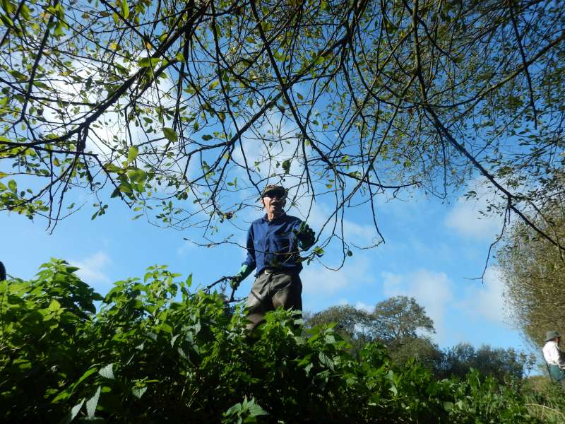 Beau d�grad� de bleu...