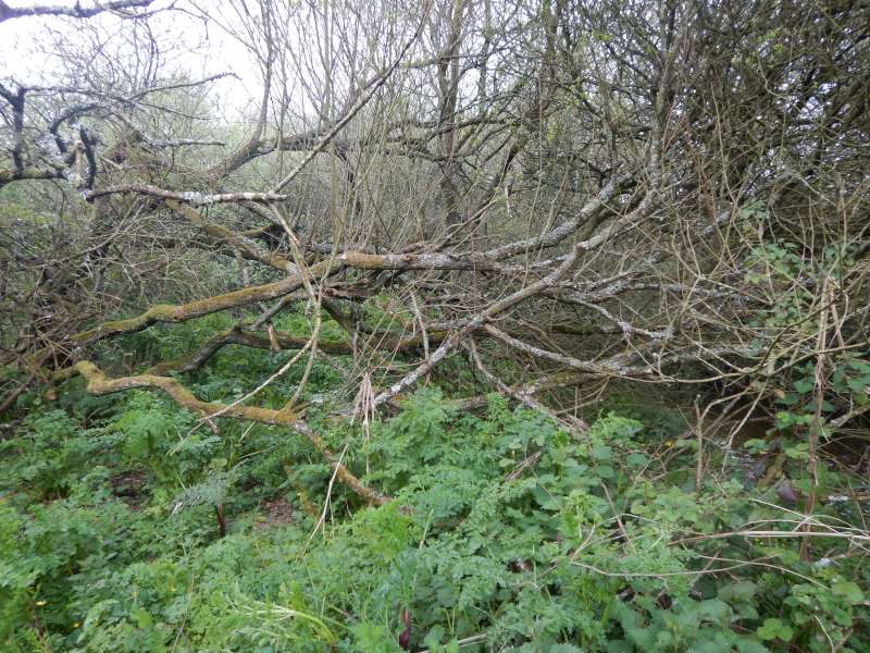 La rivi�re est l�....� droite