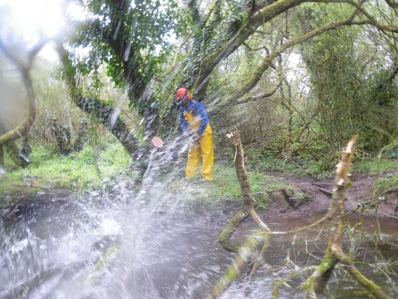 Plus qu'� ramasser...