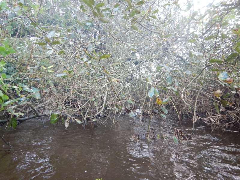 Les ennuis commencent...