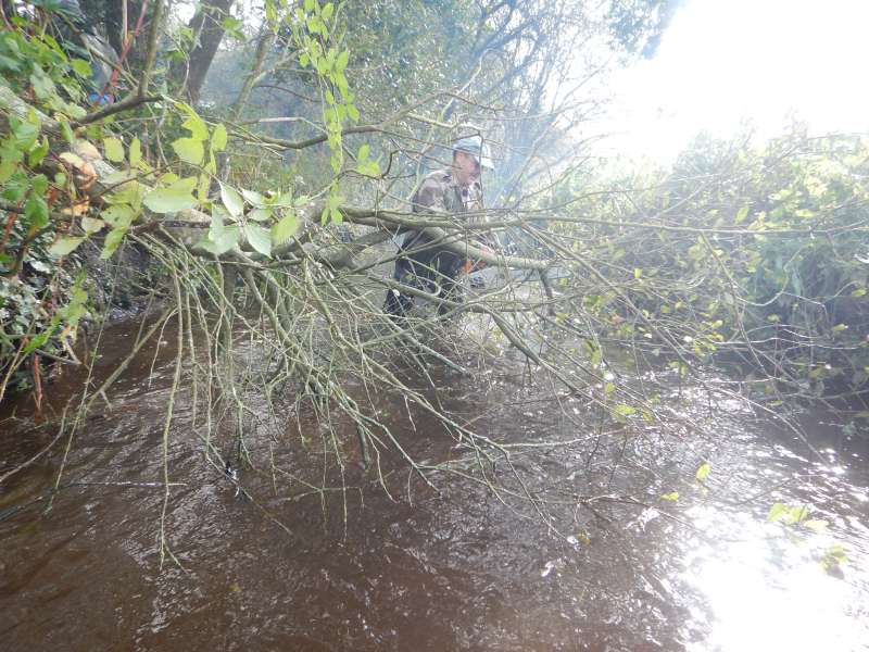 Serge fait chauffer la cha�ne