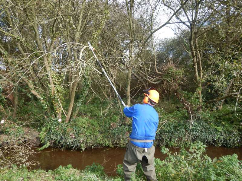 l'�lagueuse, machine �puisante.