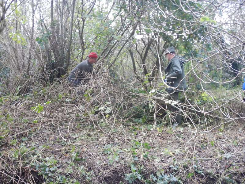 Gilles et Olivier dans la jungle