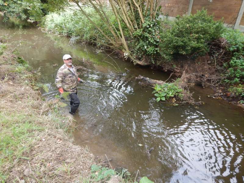 Serge � d�j� coup� une bonne partie de ce saule