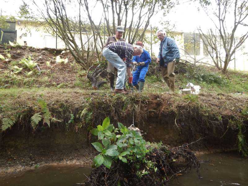 Reste � sortir la souche de l'eau...