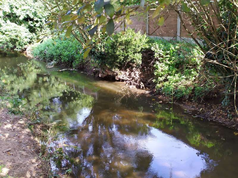 Au proprio le plaisir de restaurer sa berge!