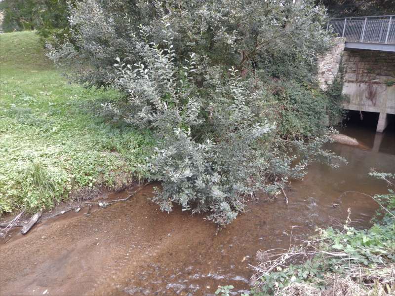 Plus facile ici, vu le peu d'eau!