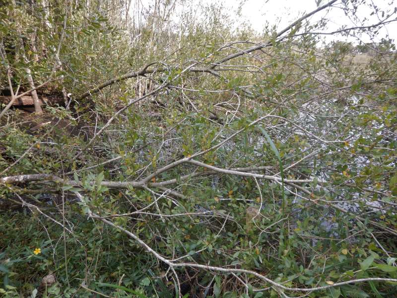 Tr�oualen: le vidage est l�... Si-si!