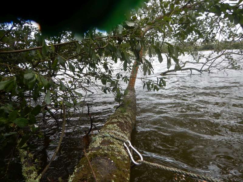 Les choses se compliquent!