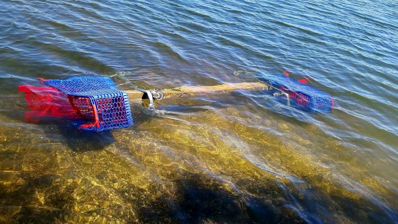 Pourquoi jeter des Caddies dans le lac? Si vous avez la r�ponse...