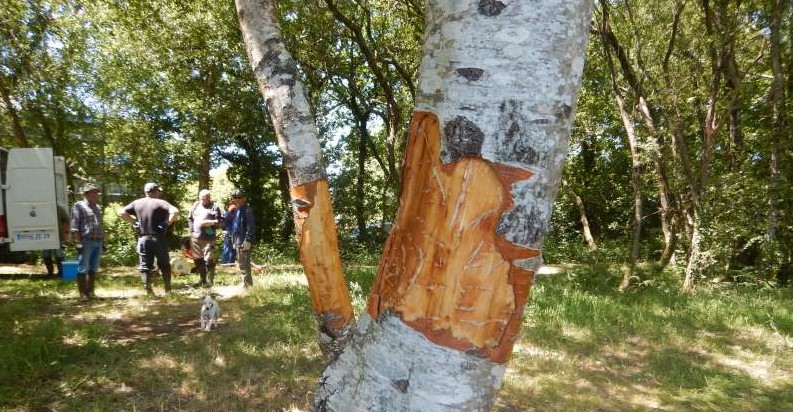 L'�tre humain est parfois franchement idiot!