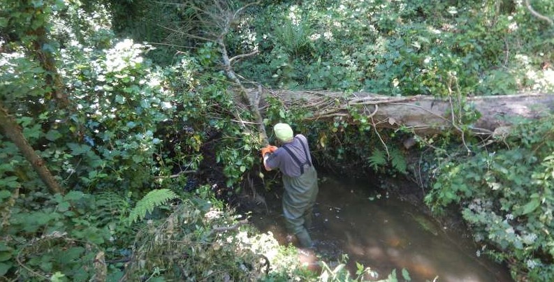 Un d�fi de taille pour Michel