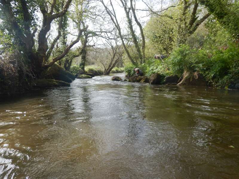 Fin de journ�e, la rivi�re est belle.