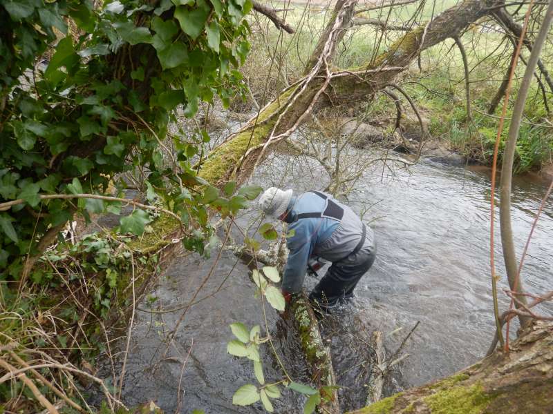 Guy est le premier au boulot