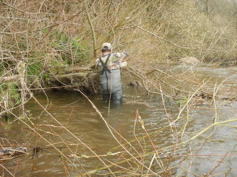 Serge aux prises avec les saules envahissants!