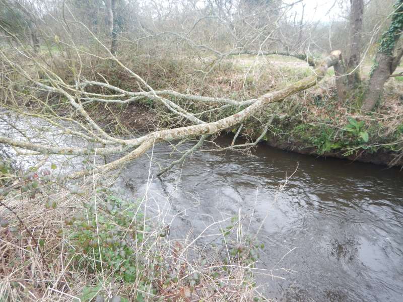 Tron�onn�, mais pourquoi?