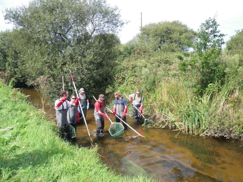 D�but de la p�che