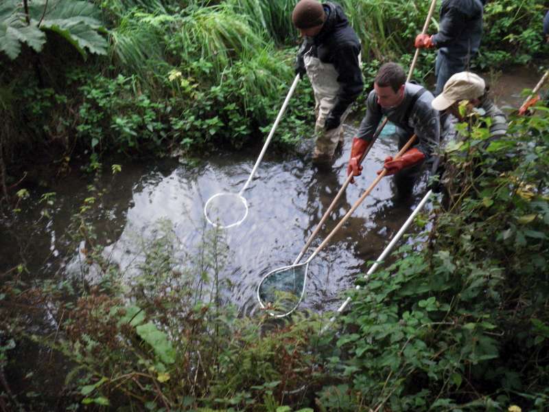 d�but de la p�che.