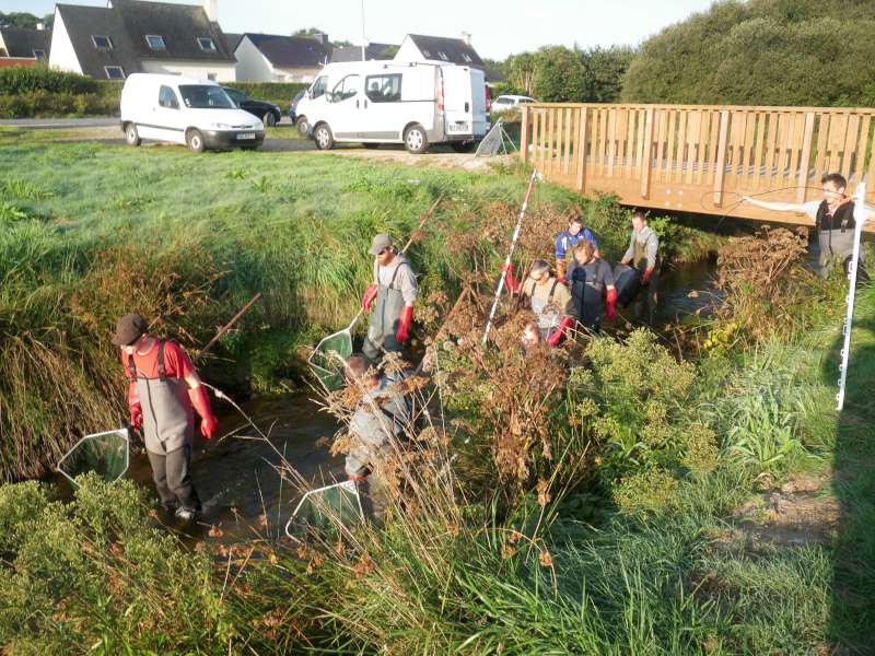 D�but de la p�che