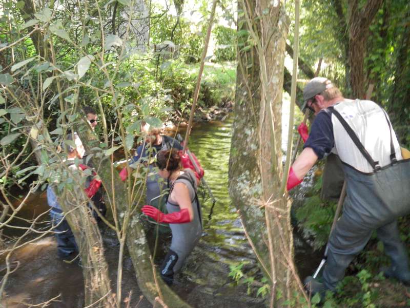 D�but de la p�che