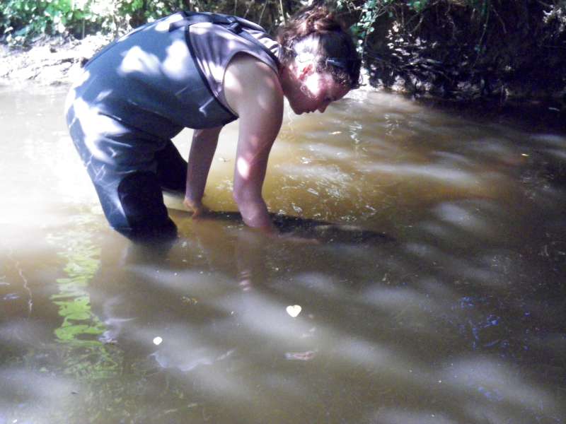 Le Saumon en r�oxig�nation