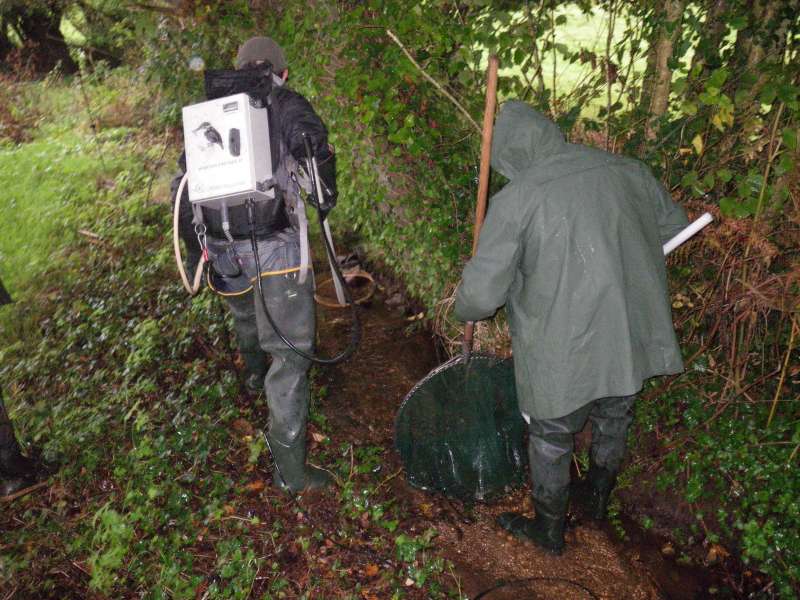 Sur un des ruisseaux p�pini�re.