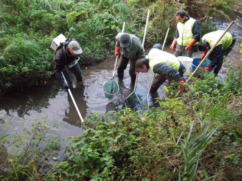 En remontant la rivi�re.