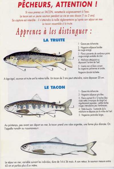 Fiche de pr�vention d�livr�e par la f�d�ration de p�che et le CSP. .