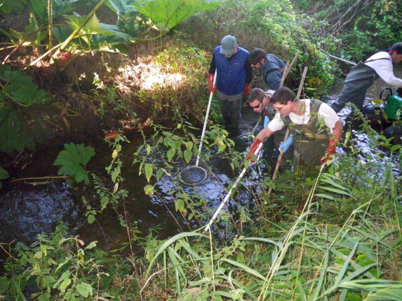 D�but de la prospection.