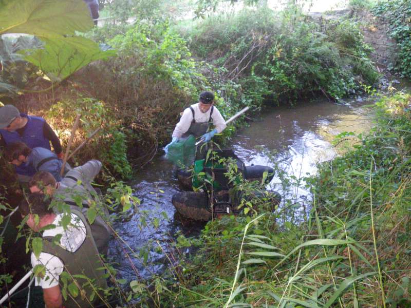R�cup�ration des poissons.