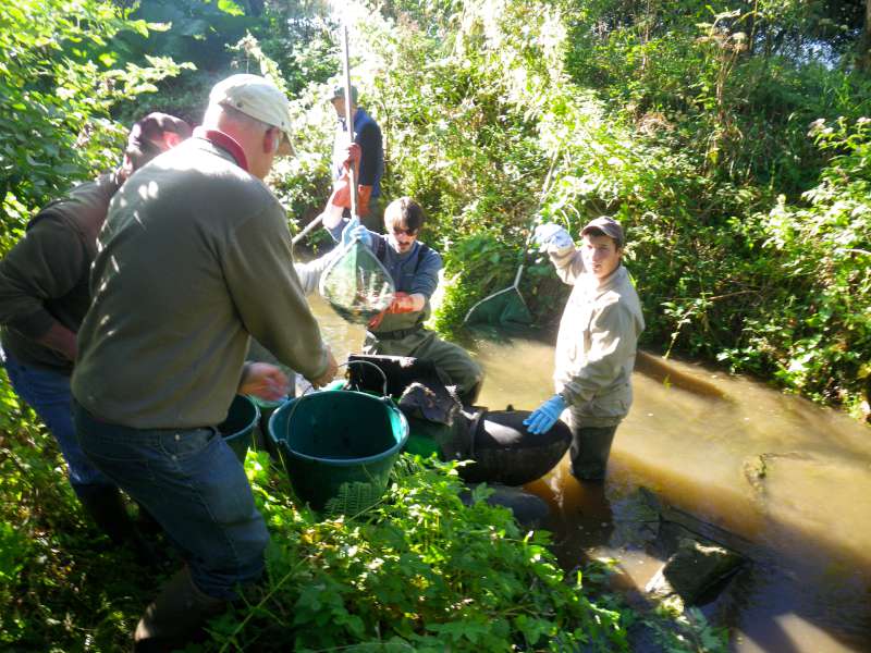 En pleine action de transvasement.