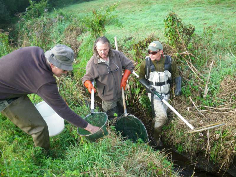 Sur le 1er ruisseau vers Lanrivoar�.