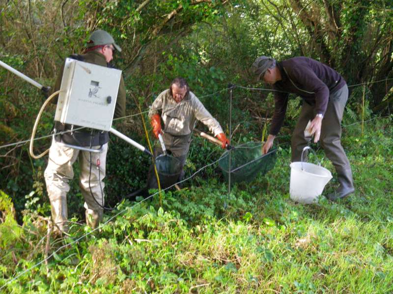 Sur un autre ruisseau.