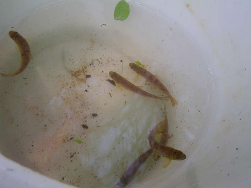 Et des jeunes de l'ann�e.