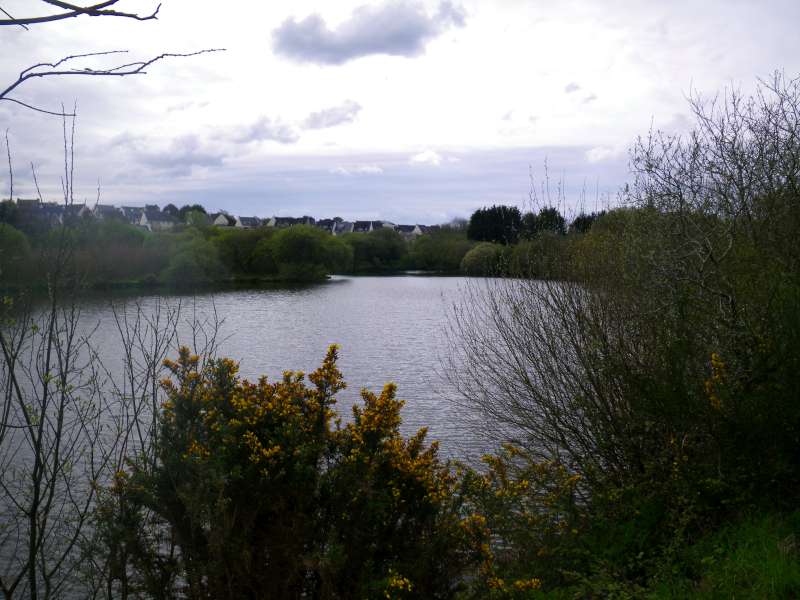 Le plan d'eau avant les travaux 