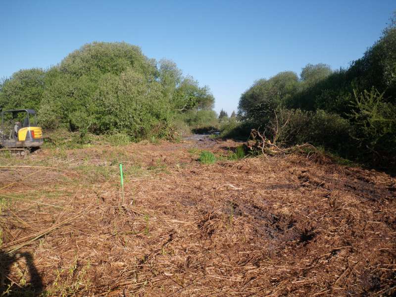 d�but du piquetage pour le trac� de la digue.