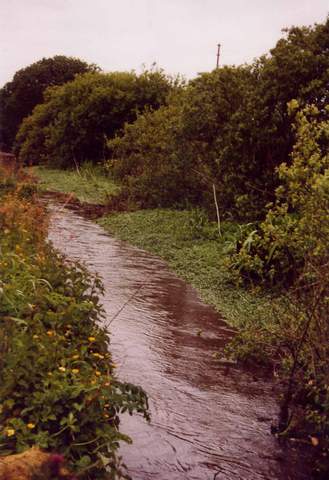 la rivi�re avant intervention