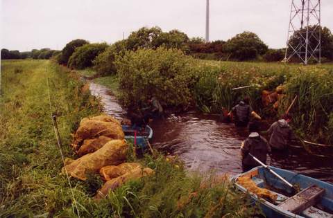 les ouvriers en action