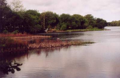 le plan d'eau de la CoMiRen s'envase