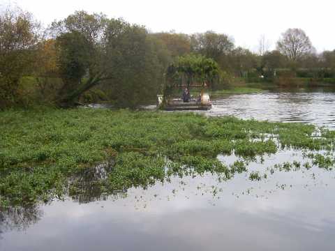 L'�tendue des d�g�ts en un an.